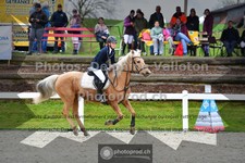 ref. photo 3564888