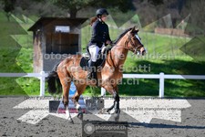ref. photo 3564898