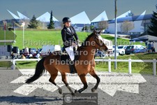 ref. photo 3564902