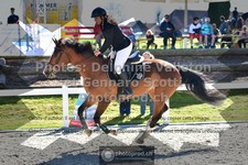 ref. photo 3564904