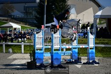 ref. photo 3564946