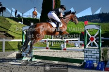 ref. photo 3564989