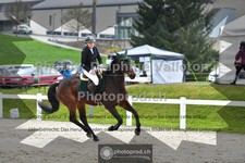 ref. photo 3564994