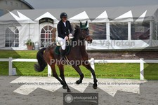 ref. photo 3564995