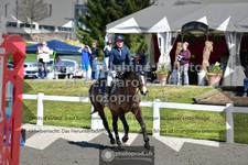ref. photo 3565031