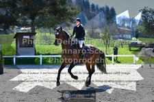 ref. photo 3565044