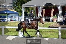 ref. photo 3565050