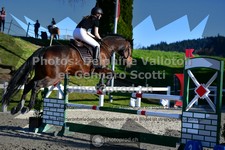 ref. photo 3565052