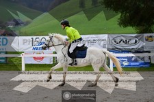 ref. photo 3565088