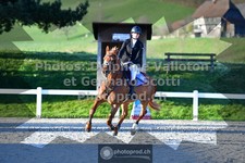 ref. photo 3565100