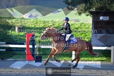 ref. photo 3565104