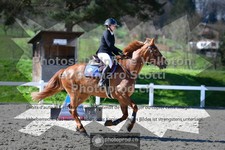 ref. photo 3565106