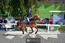 ref. photo 3565110