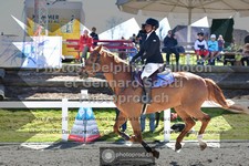 ref. photo 3565111