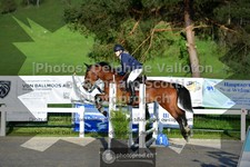 ref. photo 3565114