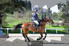 ref. photo 3565122