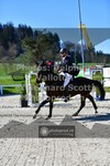 ref. photo 3565135