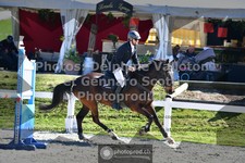 ref. photo 3565140