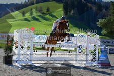 ref. photo 3565142