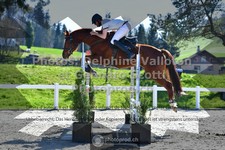 ref. photo 3565146