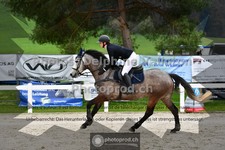 ref. photo 3565188