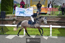 ref. photo 3565198