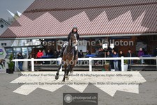 ref. photo 3565218