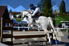ref. photo 3565251