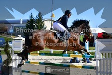 ref. photo 3565268