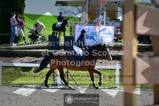 ref. photo 3565270