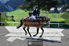 ref. photo 3565271