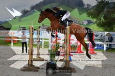 ref. photo 3565319