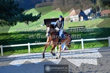 ref. photo 3565355
