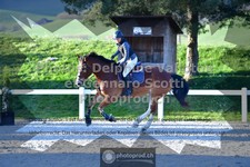 ref. photo 3565360