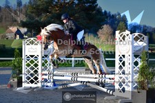 ref. photo 3565368