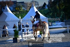 ref. photo 3565369
