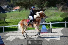 ref. photo 3565372