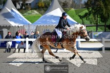 ref. photo 3565374