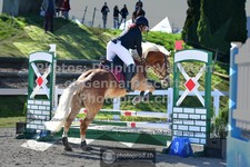 ref. photo 3565375