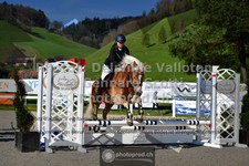 ref. photo 3565376