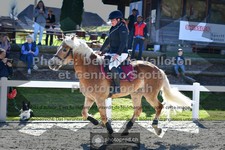 ref. photo 3565382