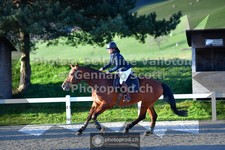 ref. photo 3565394