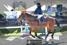 ref. photo 3565401
