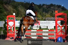 ref. photo 3565405
