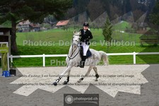 ref. photo 3565440