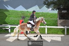 ref. photo 3565446