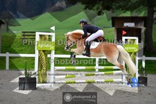 ref. photo 3565471