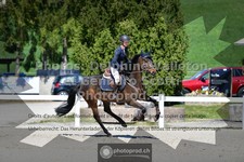 ref. photo 3565485