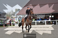 ref. photo 3565502