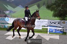 ref. photo 3565506